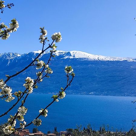 Agriturismo L'Uliveto การ์ญาโน ภายนอก รูปภาพ
