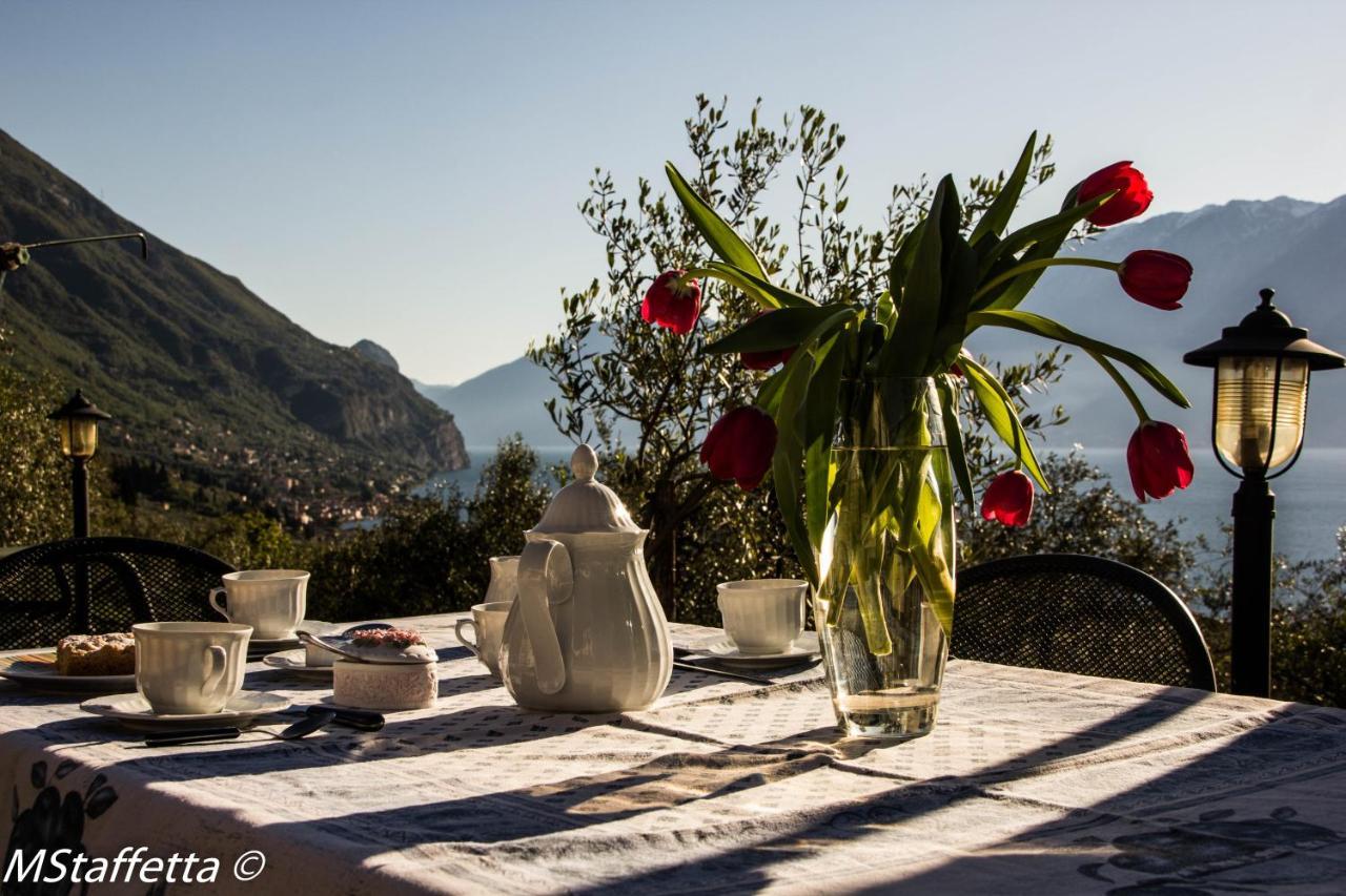 Agriturismo L'Uliveto การ์ญาโน ภายนอก รูปภาพ