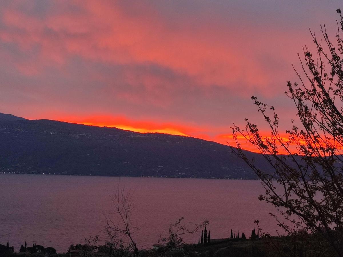 Agriturismo L'Uliveto การ์ญาโน ห้อง รูปภาพ