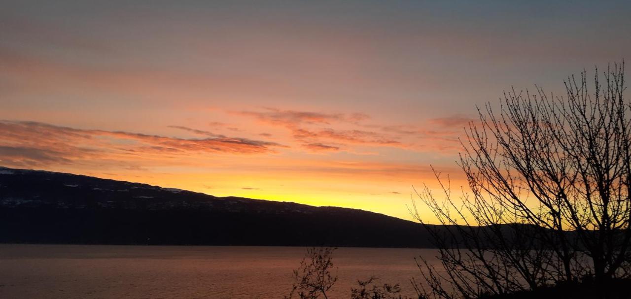 Agriturismo L'Uliveto การ์ญาโน ห้อง รูปภาพ