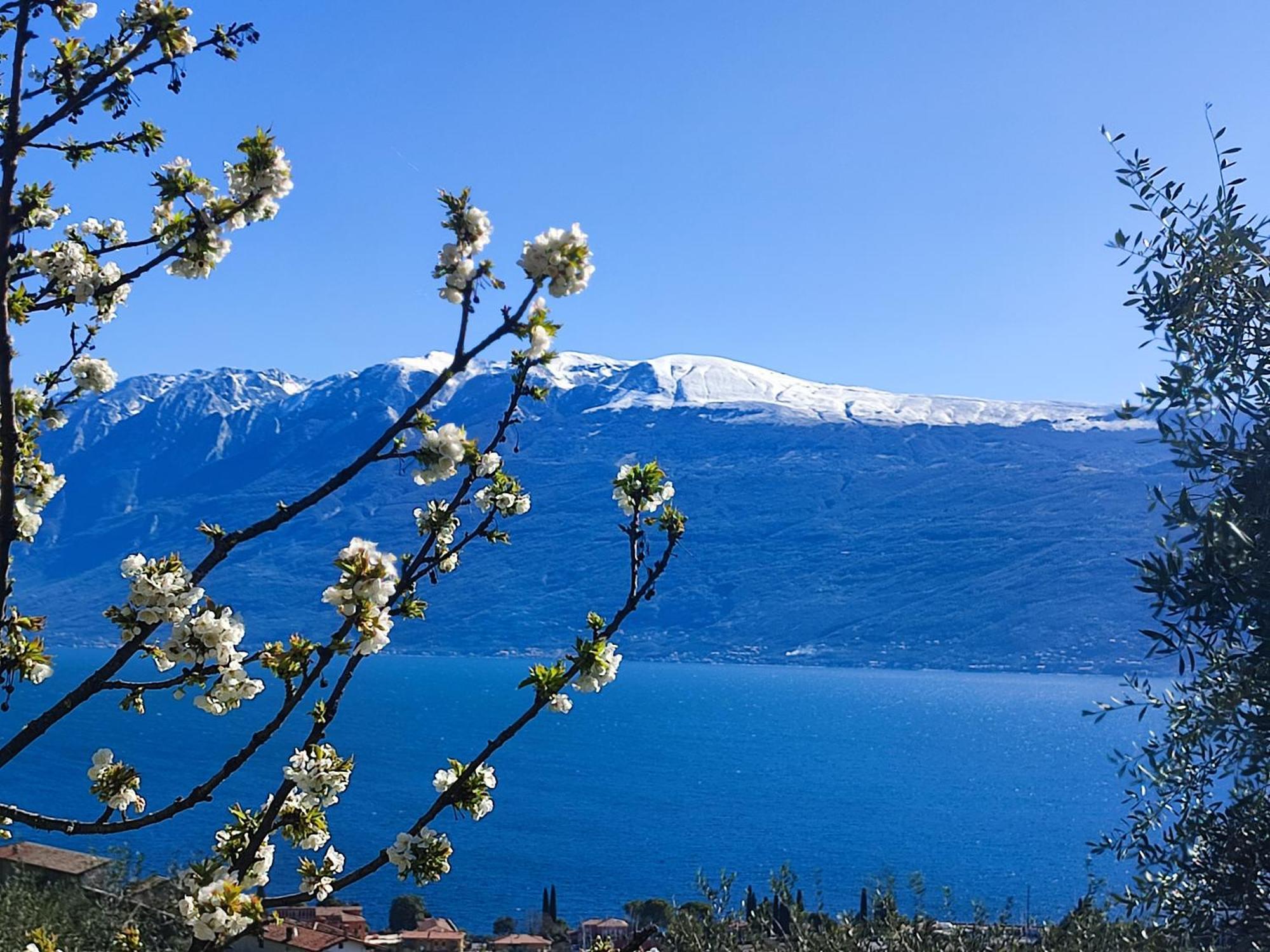 Agriturismo L'Uliveto การ์ญาโน ภายนอก รูปภาพ