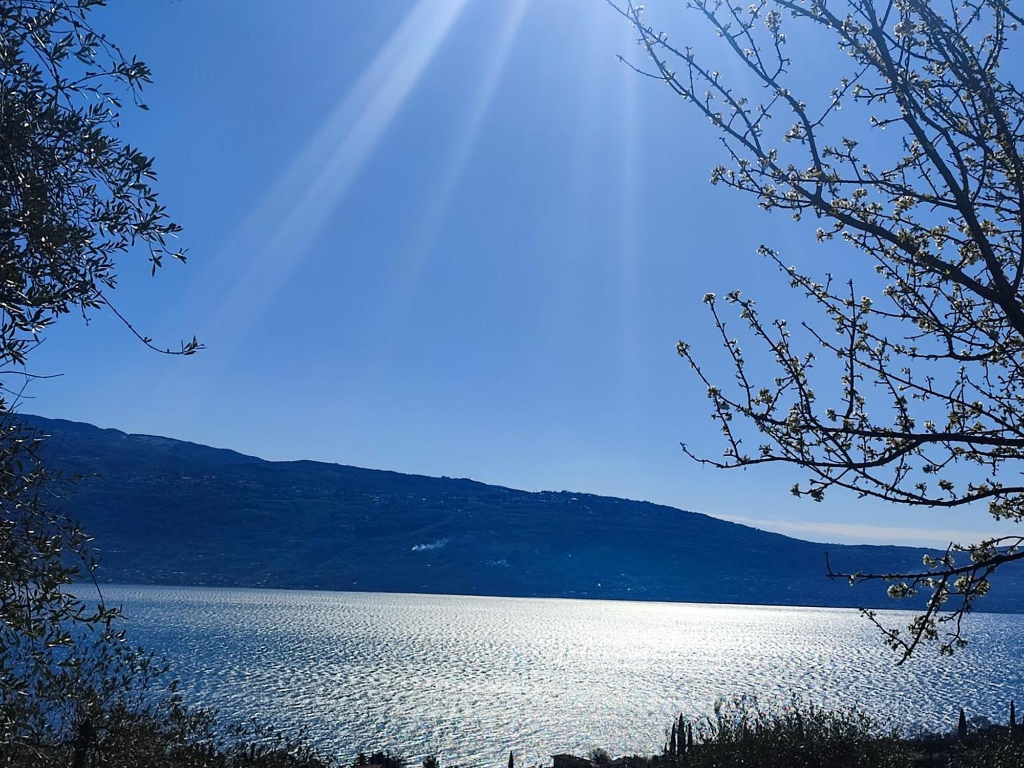 Agriturismo L'Uliveto การ์ญาโน ภายนอก รูปภาพ